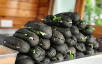 Câu chuyện tiêu tiền: Bánh mì "bóng đêm" hay chuyến tàu hạng sang?