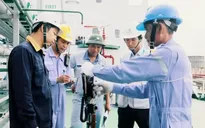 Vinacontrol không cấp giấy chứng nhận xuất xứ C/O giả