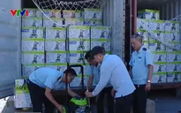 Nhiều doanh nghiệp được cấp C/O có dấu hiệu gian dối