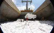 Xuất khẩu gạo Việt Nam vượt mặt Thái Lan