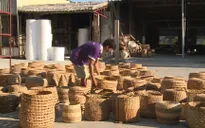 Khát vọng giữ nghề ở làng cói Nga Sơn trong đại dịch COVID-19