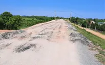 Vừa sửa hết 150 tỷ đồng, mặt đê lại tan nát vì xe quá tải