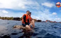 Quang Vinh, Phạm Quỳnh Anh bị chỉ trích vì ngồi trên tảng san hô sống