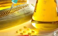 Điều tra chống bán phá giá đường lỏng Trung Quốc, Hàn Quốc