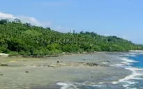 Trồng rừng ngập mặn: Chẳng thấy trang, đước đâu, chỉ toàn dấu chân người đi cào nghêu...