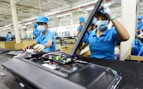 Xuất siêu 5,5 tỷ USD - Bức tranh không toàn màu hồng