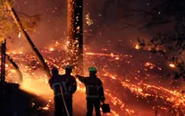 Hỏa hoạn thiêu rụi 40 ha rừng thông ở Pháp, nhiều người phải sơ tán