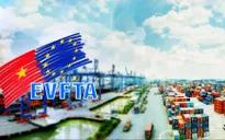 Hôm nay (1/8), EVFTA chính thức có hiệu lực, "cao tốc" đã mở, cơ hội lớn, thách thức nhiều