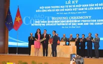 EVFTA – Kết tinh của một thập kỷ nỗ lực không ngừng nghỉ