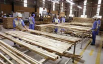 Đột ngột bị áp thuế 25%, gỗ ghép thanh ùn tắc tại nhiều cảng biển