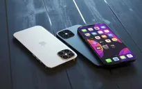 Apple chính thức xác nhận không bán iPhone 12 trong tháng 9