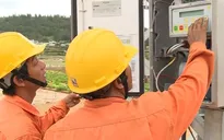 "Điện 1 giá" được hiểu chính xác như thế nào?