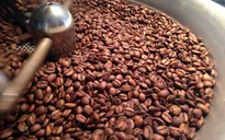Thị trường cà phê nội địa: Tiềm năng nhưng bị bỏ ngỏ