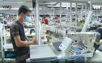 Doanh nghiệp với nhiều giải pháp để tận dụng cơ hội từ EVFTA
