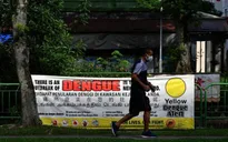 Dịch sốt xuất huyết bùng phát mạnh tại Singapore