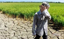 6 tháng đầu năm, thiên tai gây thiệt hại gần 3.400 tỷ đồng