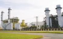 Bạc Liêu thu hút FDI: Chủ động đi tìm thay vì ngồi chờ… “đại bàng” đến