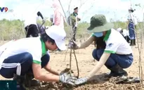 Thay đổi môi trường từ hành động nhỏ