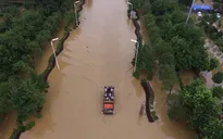 Vũ Hán căng mình chống chọi với bão lũ