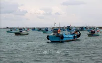 Hoàn thành 90% khu neo đậu tránh bão tại đảo Phú Quý