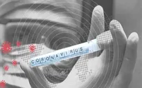 Phát hiện virus SARS-CoV-2 trong nước thải ở Paris
