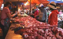 Nhập từ Thái Lan nhỏ giọt, giá lợn hơi trong nước "bất động"