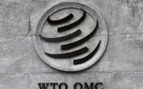 Cuộc đua trở thành tân Tổng Giám đốc của WTO bước vào "vòng chung kết"