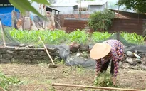 Cặp lá yêu thương: Yêu thương từ mẹ