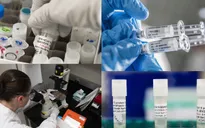 Thế giới ghi nhận 20,2 triệu người mắc COVID-19, gia tăng lây nhiễm trên toàn cầu