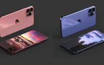 iPhone 12 phiên bản giá rẻ có thể bị hoãn ra mắt tới năm sau?