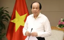 Bộ trưởng, Chủ nhiệm Văn phòng Chính phủ điều động, bổ nhiệm cán bộ