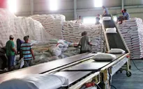 Giá trị xuất khẩu gạo tăng mạnh