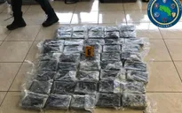 Phát hiện và thu giữ hơn 1 tấn cocaine giấu trong container chở dứa tại Costa Rica