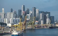 Các doanh nghiệp Singapore thay đổi chiến lược kinh doanh trong mùa dịch