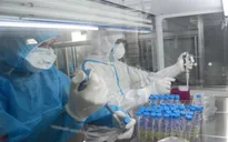 Ngày 12/11, ca mắc COVID-19 mới giảm còn 277 ca