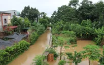 Mưa lớn gây ngập úng cục bộ tại Yên Bái