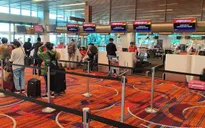 Hơn 240 công dân Việt Nam từ Singapore về nước an toàn