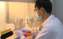 Huy động nhiều nguồn lực giải quyết quá tải xét nghiệm COVID-19