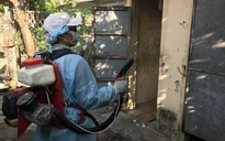 Bình Định ghi nhận hơn 200 ổ dịch sốt xuất huyết