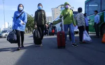 Đưa hơn 700 lao động và sinh viên Quảng Ngãi về quê