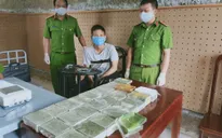 Phá 2 chuyên án, bắt 2 đối tượng mua bán hơn 43kg ma túy