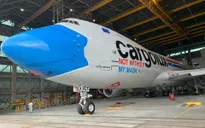 Câu chuyện điểm mạng: Lợn than hay máy bay đeo khẩu trang?