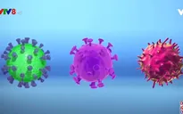 Những phát hiện mới về chủng virus SARS-CoV-2