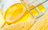 Việt Nam điều tra đường lỏng Trung Quốc, Hàn Quốc bán phá giá