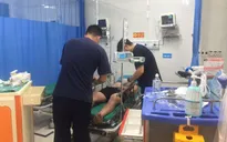 Cấp cứu bệnh nhân sốc phản vệ nguy kịch, hôn mê do bị ong vò vẽ đốt