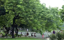 Bắc Bộ đón không khí lạnh, Hà Nội trời chuyển mát