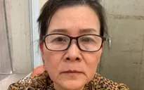 Khởi tố, bắt tạm giam nữ giáo viên nghỉ hưu làm giả con dấu, tài liệu