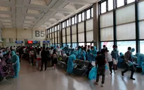 Hơn 230 công dân Việt Nam từ Đài Loan (Trung Quốc) về nước an toàn