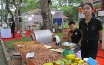 Cẩn trọng với hạt điều giá siêu rẻ