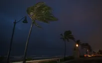 Bão "chồng" dịch COVID-19 gây lũ quét trên diện rộng tại Florida, Mỹ
